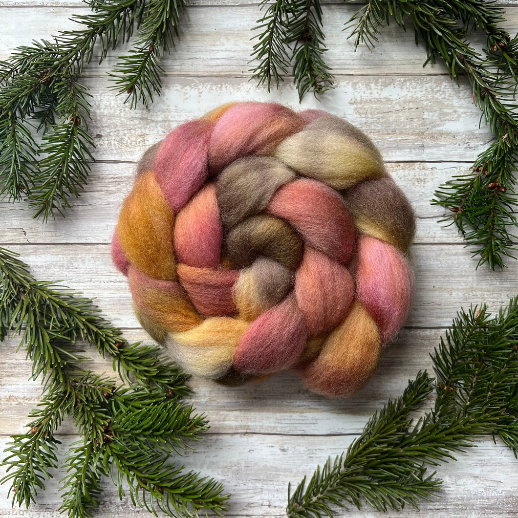 Dorset Horn Hand Dyed Combed Top - 